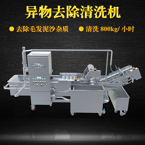 全自動果蔬清洗機，清洗800kg小時，全自動果蔬清洗機