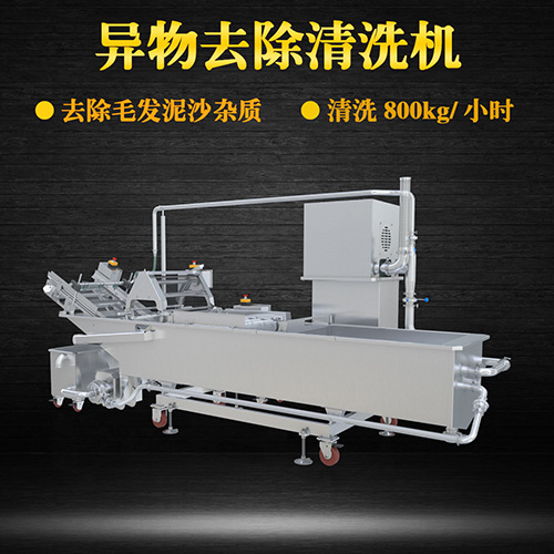 果蔬清洗機(jī)制造廠家，氣泡清洗，清洗800kg小時(shí)