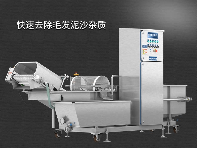 果蔬清洗機制造廠家，氣泡清洗，清洗800kg/小時