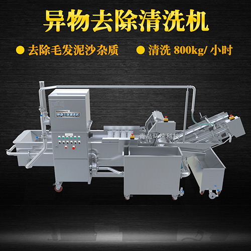 果蔬清洗機設備，氣泡清洗，清洗800kg小時